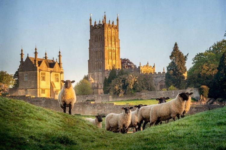 Cotswold Chic Retreats "Jacinabox" Central Chipping Campden-Parking-Garden Dış mekan fotoğraf